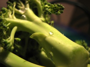 broccoli1