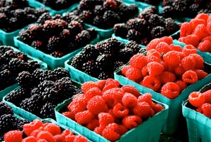 1223972901_6690a58bd3_z